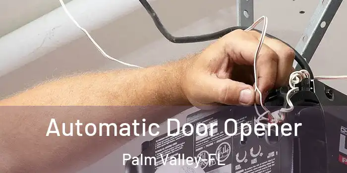  Automatic Door Opener Palm Valley-FL