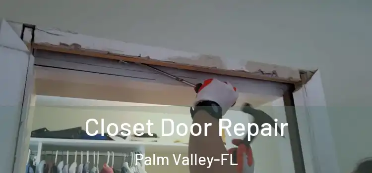 Closet Door Repair Palm Valley-FL