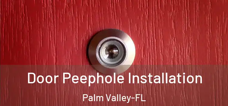  Door Peephole Installation Palm Valley-FL