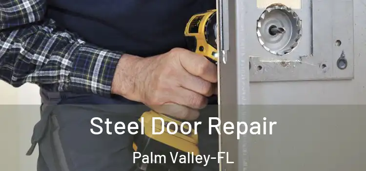 Steel Door Repair Palm Valley-FL